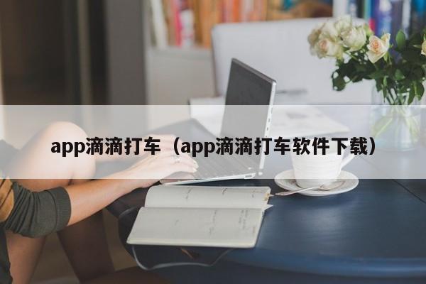 app滴滴打车（app滴滴打车软件下载）