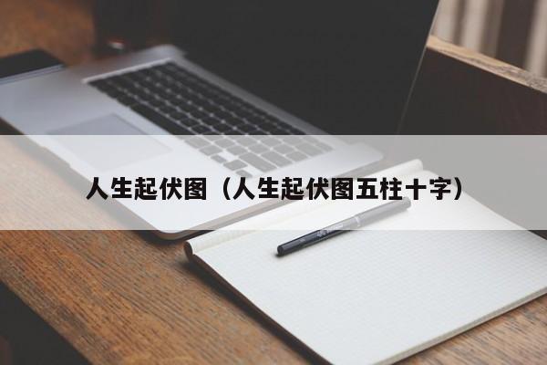 人生起伏图（人生起伏图五柱十字）