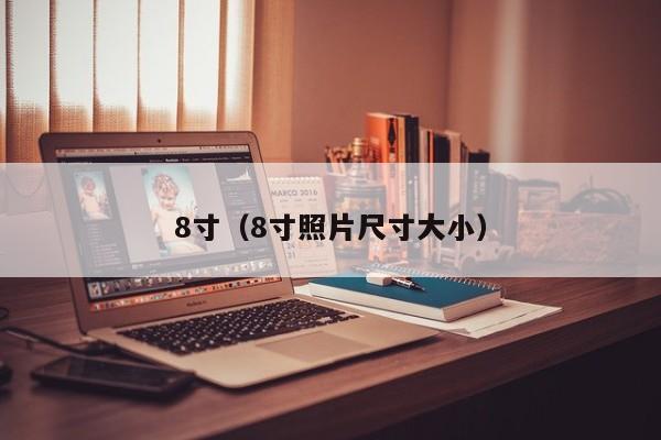 8寸（8寸照片尺寸大小）