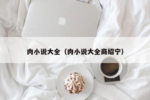 肉小说大全（肉小说大全商绍宁）