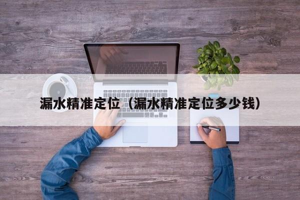漏水精准定位（漏水精准定位多少钱）