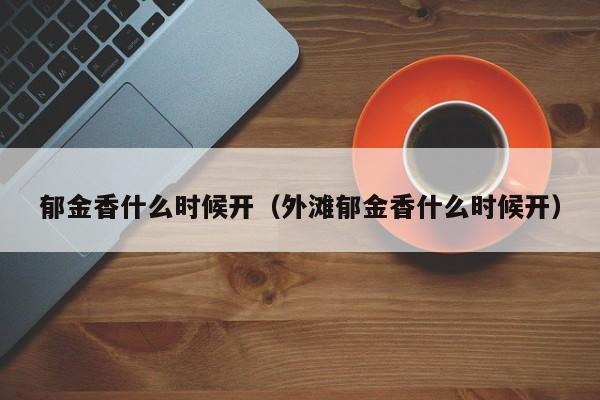 郁金香什么时候开（外滩郁金香什么时候开）