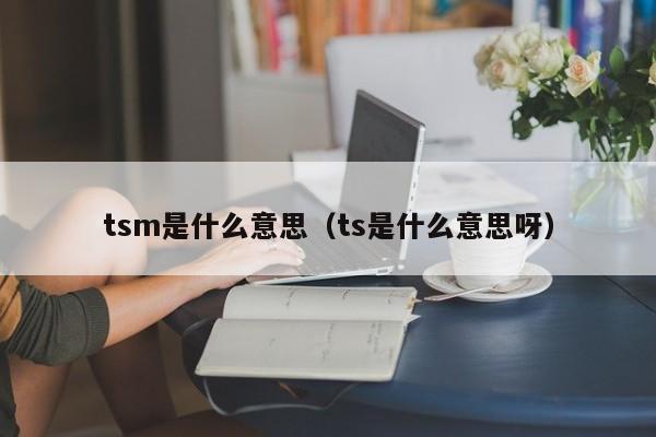 tsm是什么意思（ts是什么意思呀）