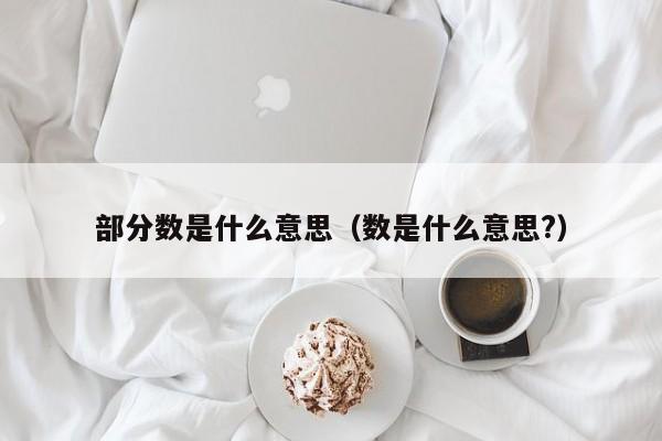 部分数是什么意思（数是什么意思?）