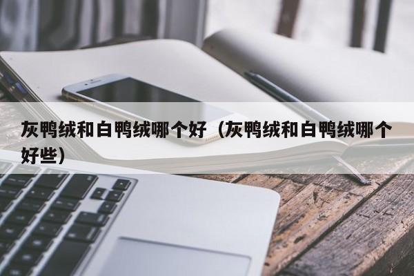 灰鸭绒和白鸭绒哪个好（灰鸭绒和白鸭绒哪个好些）