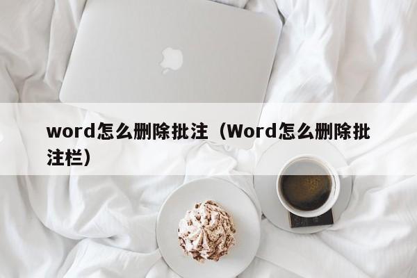 word怎么删除批注（Word怎么删除批注栏）