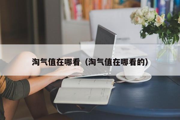 淘气值在哪看（淘气值在哪看的）