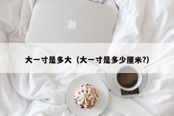 大一寸是多大（大一寸是多少厘米?）