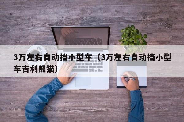 3万左右自动挡小型车（3万左右自动挡小型车吉利熊猫）