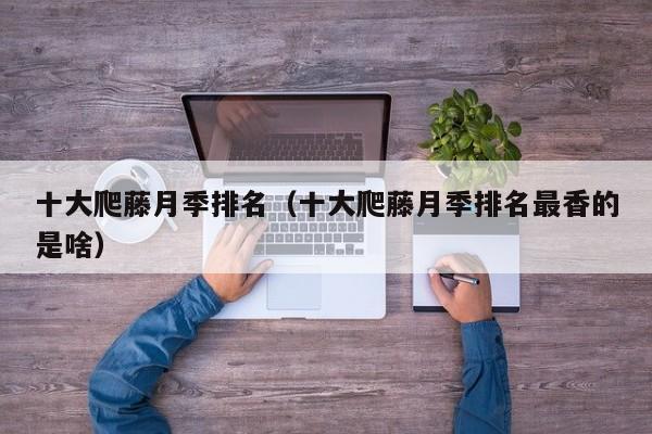 十大爬藤月季排名（十大爬藤月季排名最香的是啥）