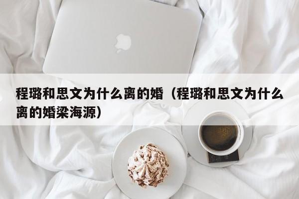 程璐和思文为什么离的婚（程璐和思文为什么离的婚梁海源）