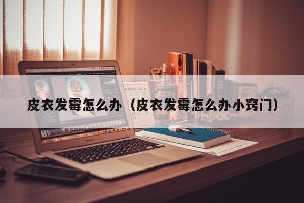 皮衣发霉怎么办（皮衣发霉怎么办小窍门）