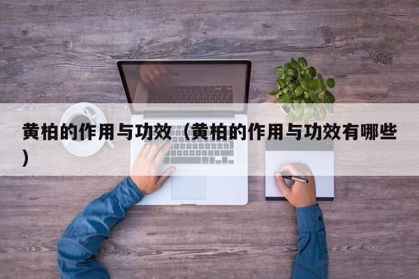 黄柏的作用与功效（黄柏的作用与功效有哪些）