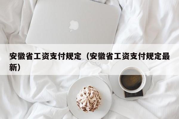 安徽省工资支付规定（安徽省工资支付规定最新）