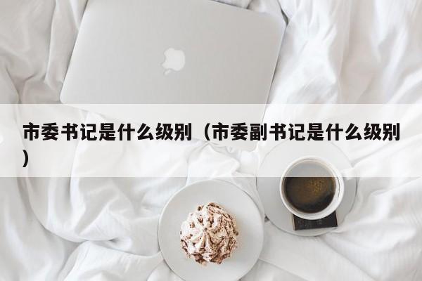 市委书记是什么级别（市委副书记是什么级别）