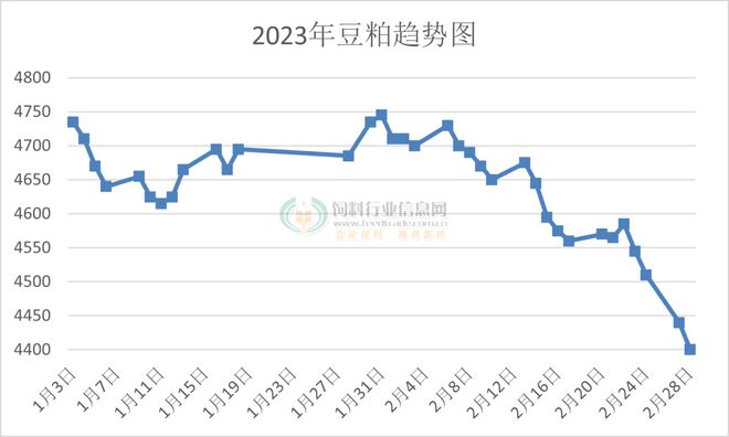 豆粕跌破4000元/吨大关？仔猪或冲700元/头？二育或让猪价低点出现在4-5月