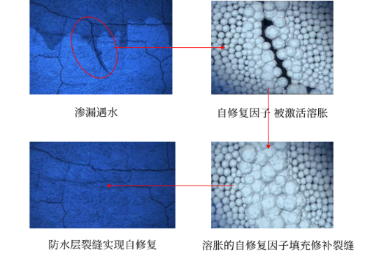 东方雨虹300自修复型防水涂料：自修复，更安心