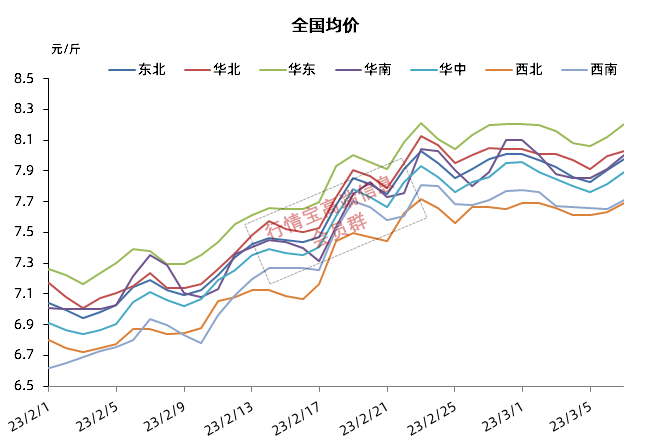 24省猪价飘红，破8冲9迫在眉睫！