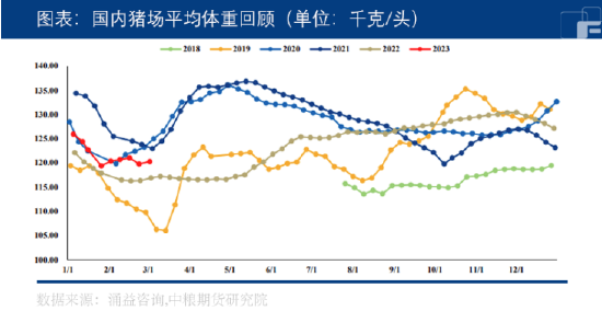 中粮期货：市场盼涨情绪强烈，生猪能否飘红？