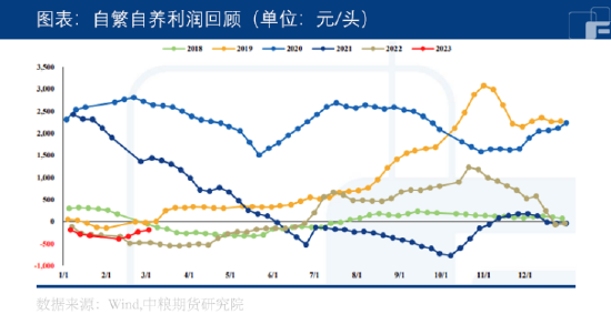 中粮期货：市场盼涨情绪强烈，生猪能否飘红？