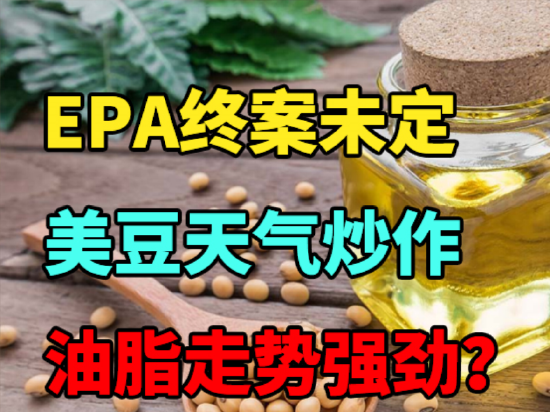 中粮期货：EPA终案未定，美豆天气炒作，油脂走势强劲？