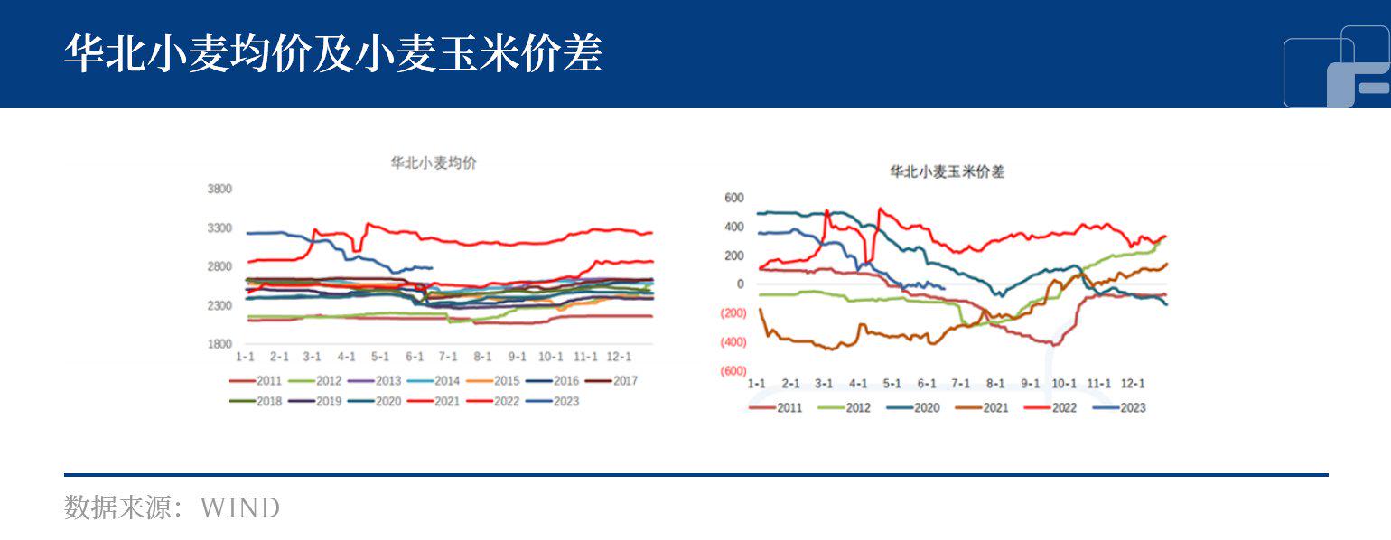 玉米：攻守易型，做空还是回调买入？