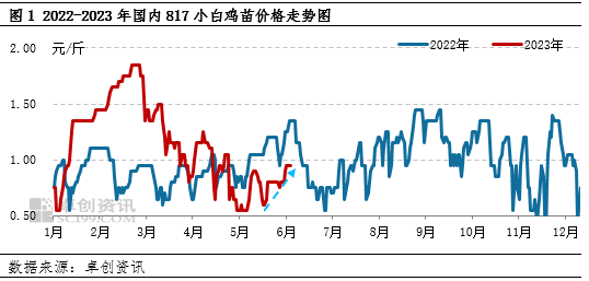 卓创资讯【817小白鸡苗】：6-7月苗市开启上行模式