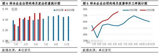 卓创资讯【白羽肉鸡】：上半年先涨后跌，下半年或继续下探