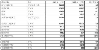 中国石油化工股份有限公司2023年上半年生产经营业绩提示性公告