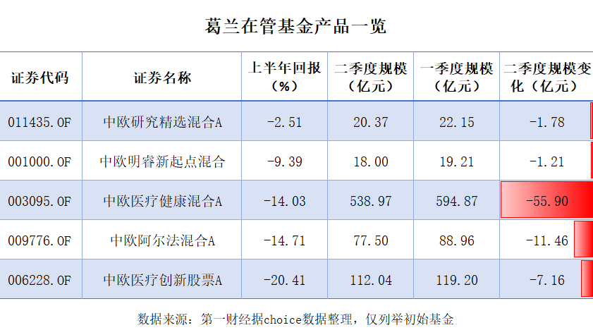 “追风”者和“坚守”者调仓分化，基金经理们如何应对极致行情？