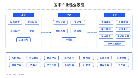 玉米：策略的选择