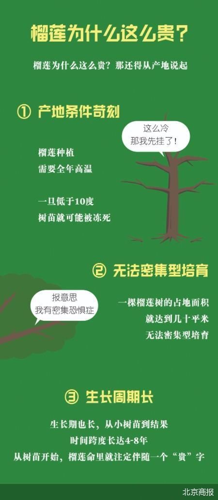 榴莲自由为什么这么难？