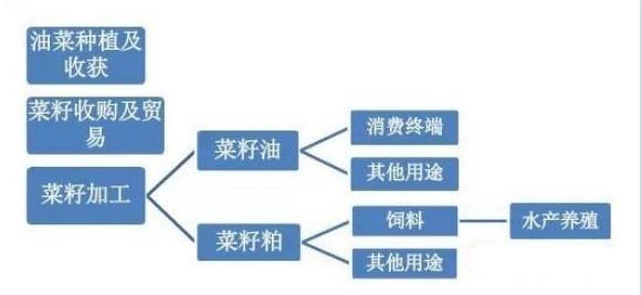 【期股联动】菜油主连下跌超3% 最新概念股一览！