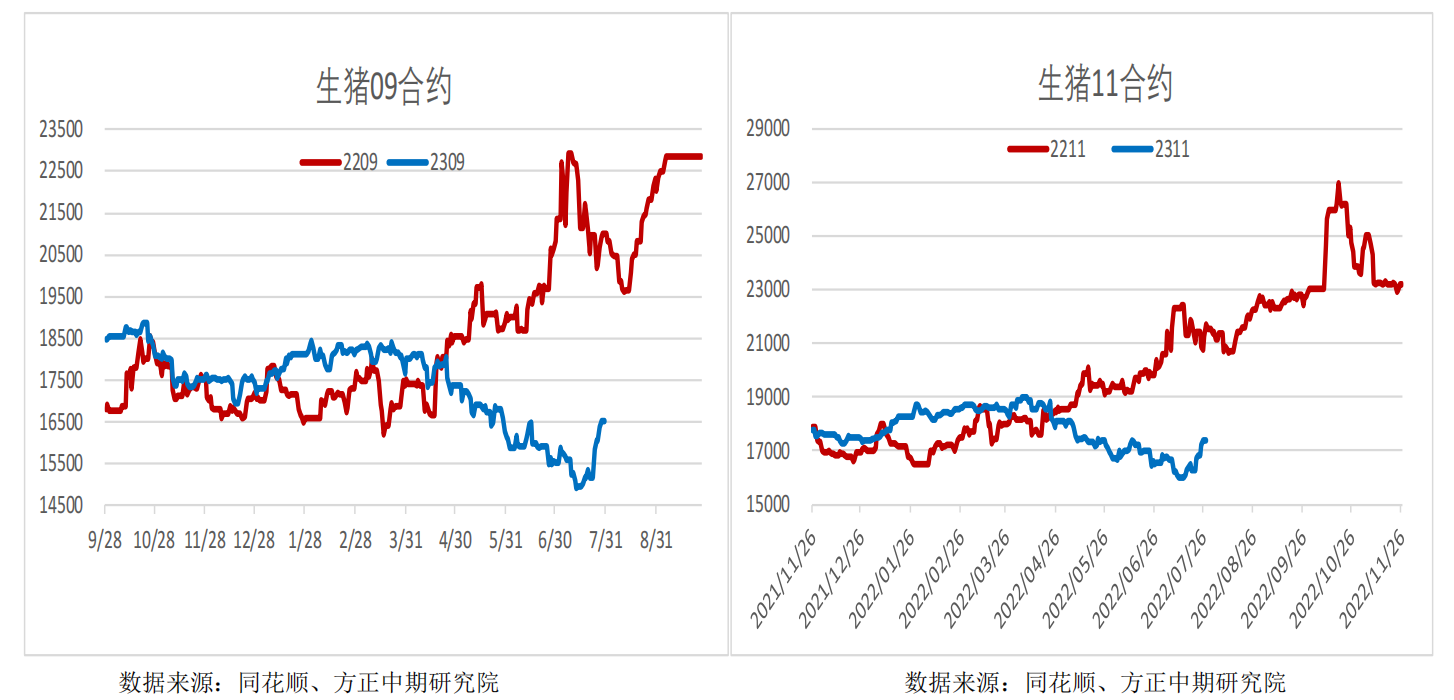 ”进三退一“创新高，生猪在反弹？还是要反转？