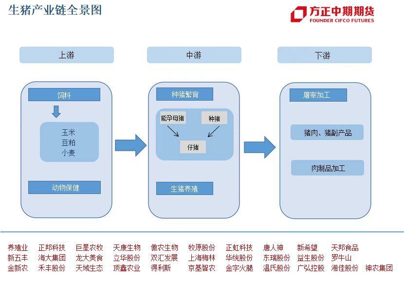 ”进三退一“创新高，生猪在反弹？还是要反转？