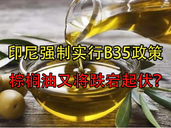 印尼强制实行B35政策，棕榈油又将跌宕起伏？