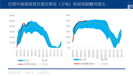 中粮期货：印度禁止部分大米出口，白糖是否惨遭殃及？