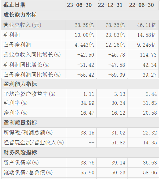 嘉华国际归母净资产超94%，净资产收益率仅1.11%