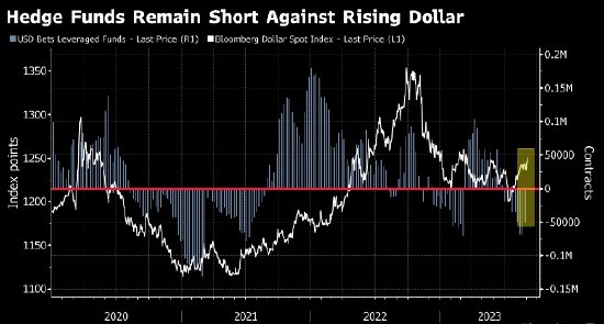 对冲基金称做空美元太危险 利率更高更长久将提振美元汇率