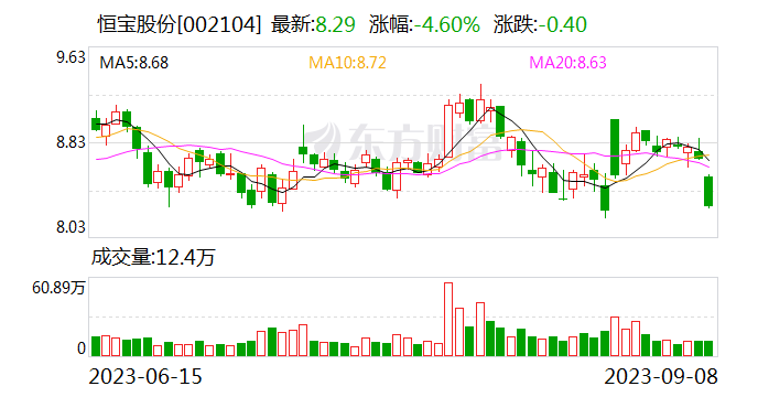 恒宝股份收证监会《行政处罚事先告知书》：涉嫌信息披露违法违规，拟罚款500万元