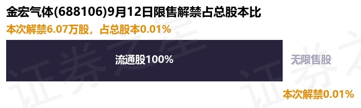 金宏气体（688106）6.07万股限售股将于9月12日解禁上市，占总股本0.01%