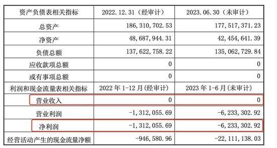 “新董事长强烈建议”，昆仑万维放弃新能源