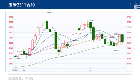 中粮期货：多空反复博弈 玉米未来如何？