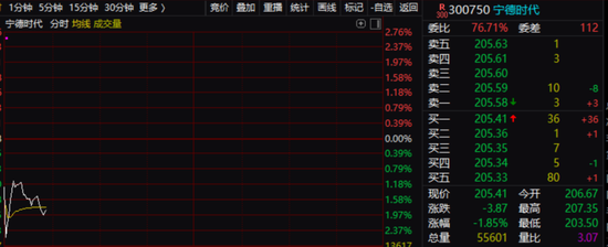 黑天鹅突现！宁德时代被曝外资巨头暂停这个项目，最新回应来了！另一则利空传来，最火板块也被吓一跳