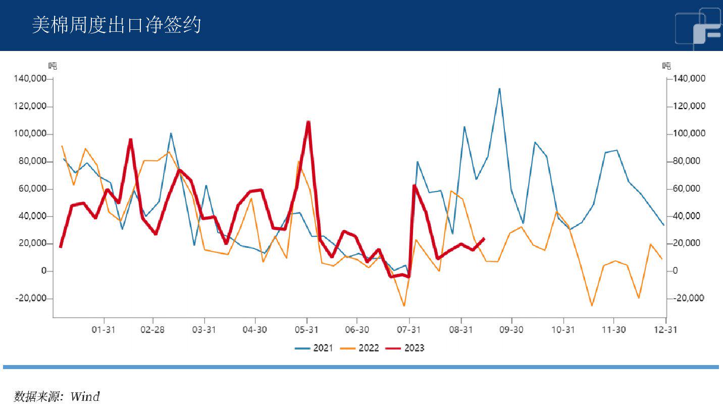 低温降雨逢开秤，棉花市场消费惨淡？