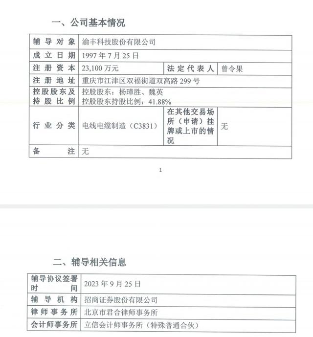 渝丰科技拟A股上市换券商 上市辅导渝企达24家