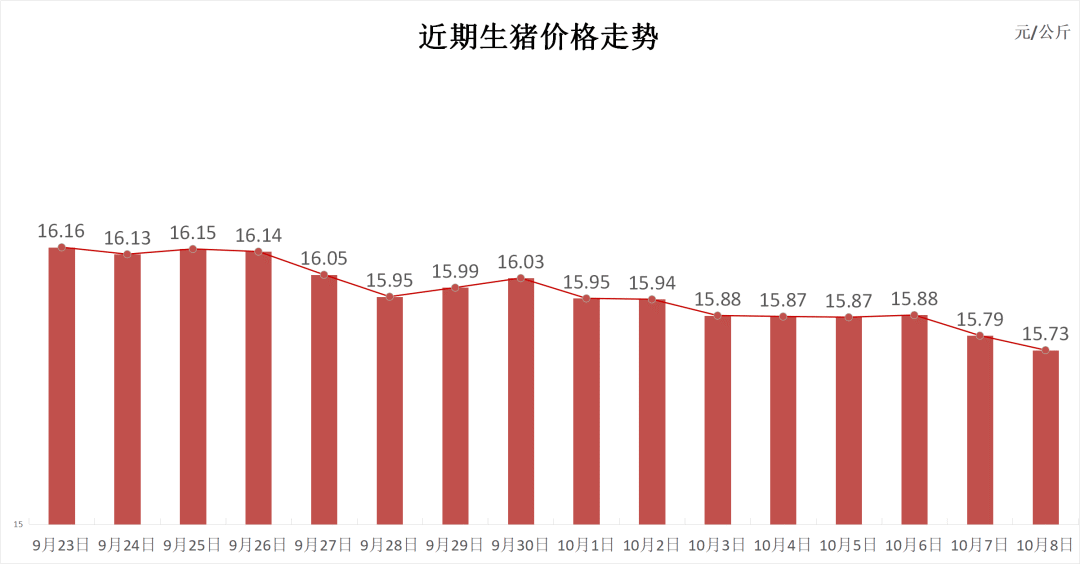 每日猪讯10.8