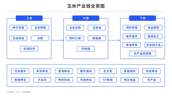 【中粮视点】玉米：秋季产情调研报告
