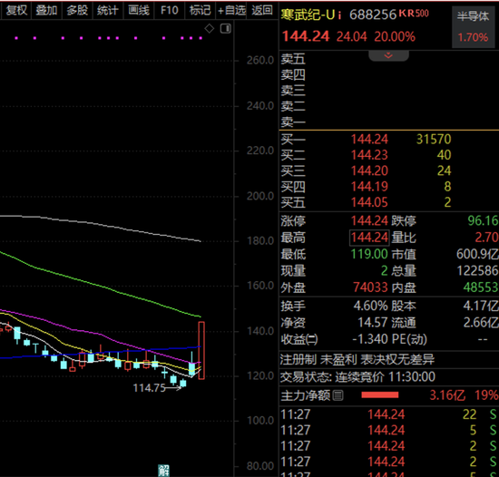 新龙头诞生！667万手封涨停，3倍于流通盘！国产替代概念涨疯了，A股细分龙头揭秘