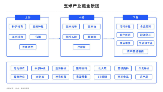 【中粮纪要】玉米：物换星移几度秋